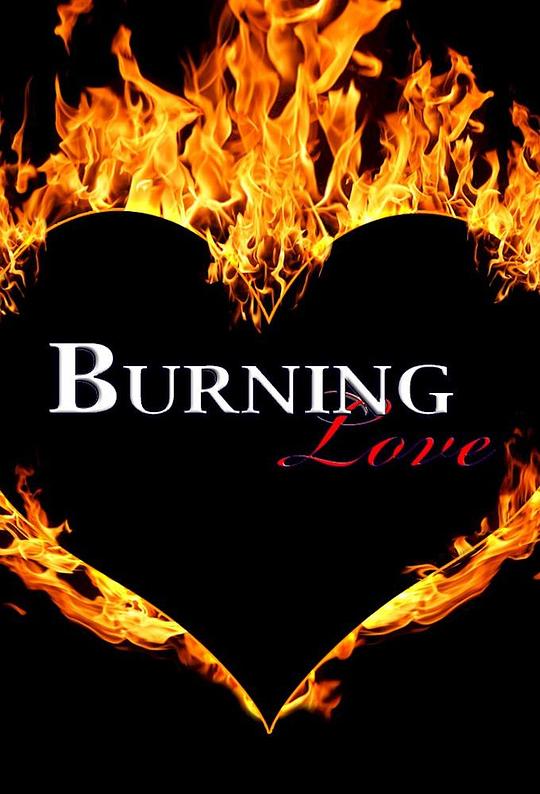 BurningLove第三季剧情介绍海报