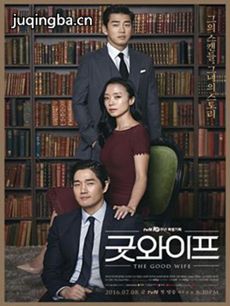 Good Wife(1-16ȫ)